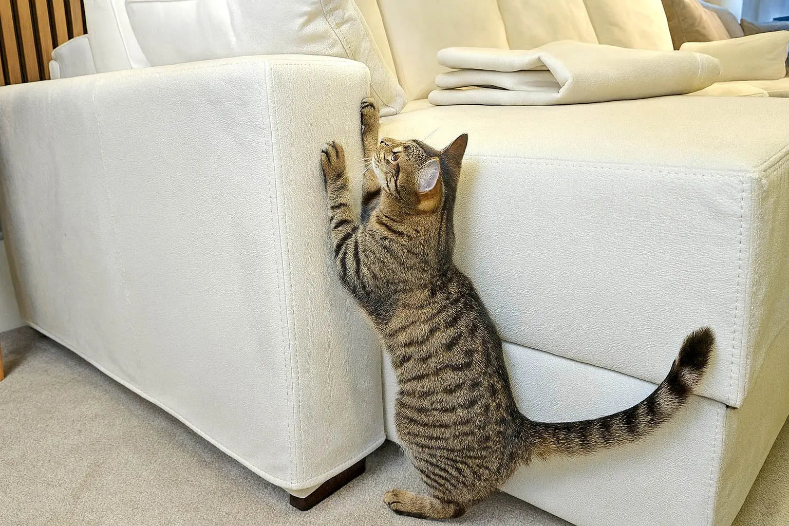 Protective Covers SofaBedExpert.co.uk