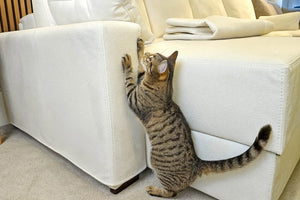 Protective Covers SofaBedExpert.co.uk